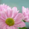 Good Morning♪
