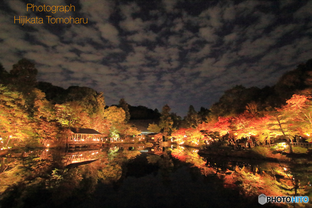 東山植物園　奥池の水鏡
