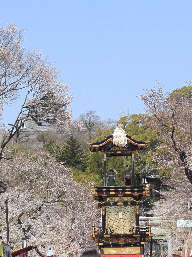 桜祭り
