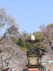 桜祭り