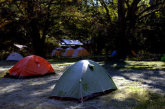 徳沢のテント場