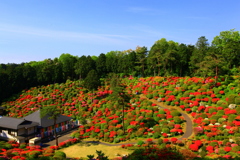 塩船観音寺