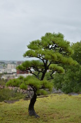 熊本城　外2