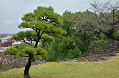 熊本城　外