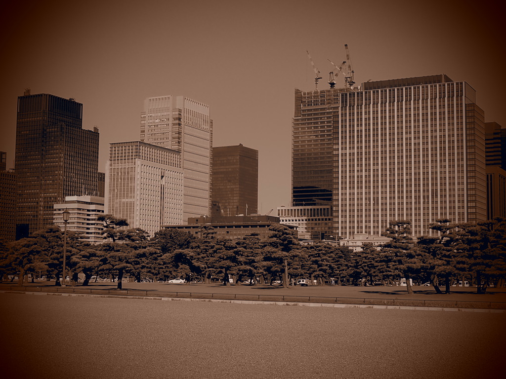 皇居外苑２