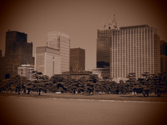皇居外苑２