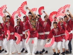 仙台すずめ踊り　～蓮～