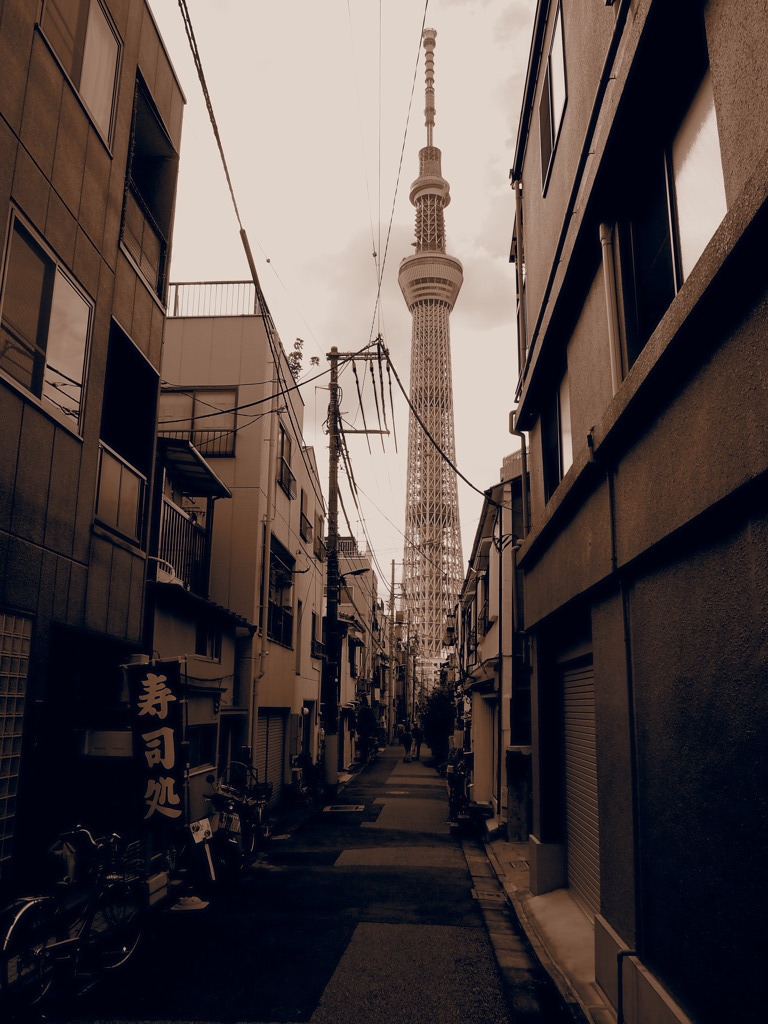 路地裏の果てに