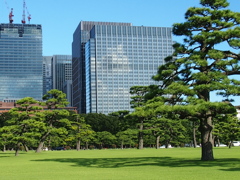 皇居外苑６