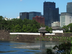 皇居外苑１