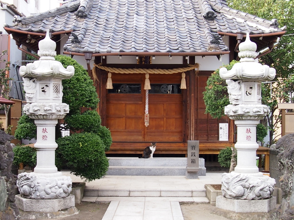 お待ちしておりました。