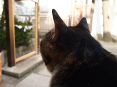 皆様の想いが成就しますように。