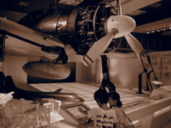 P9181361