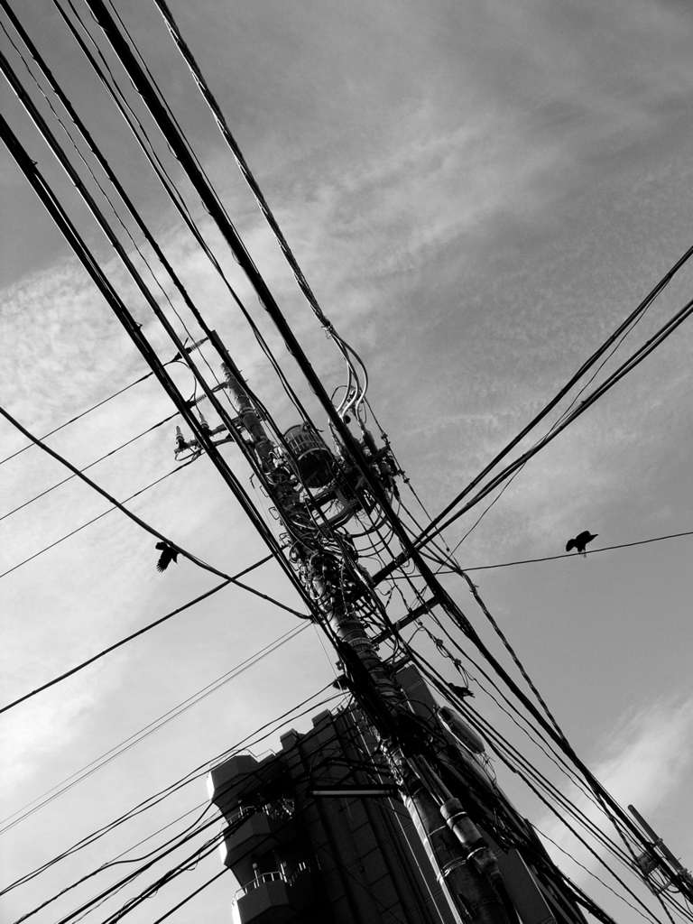 untitled