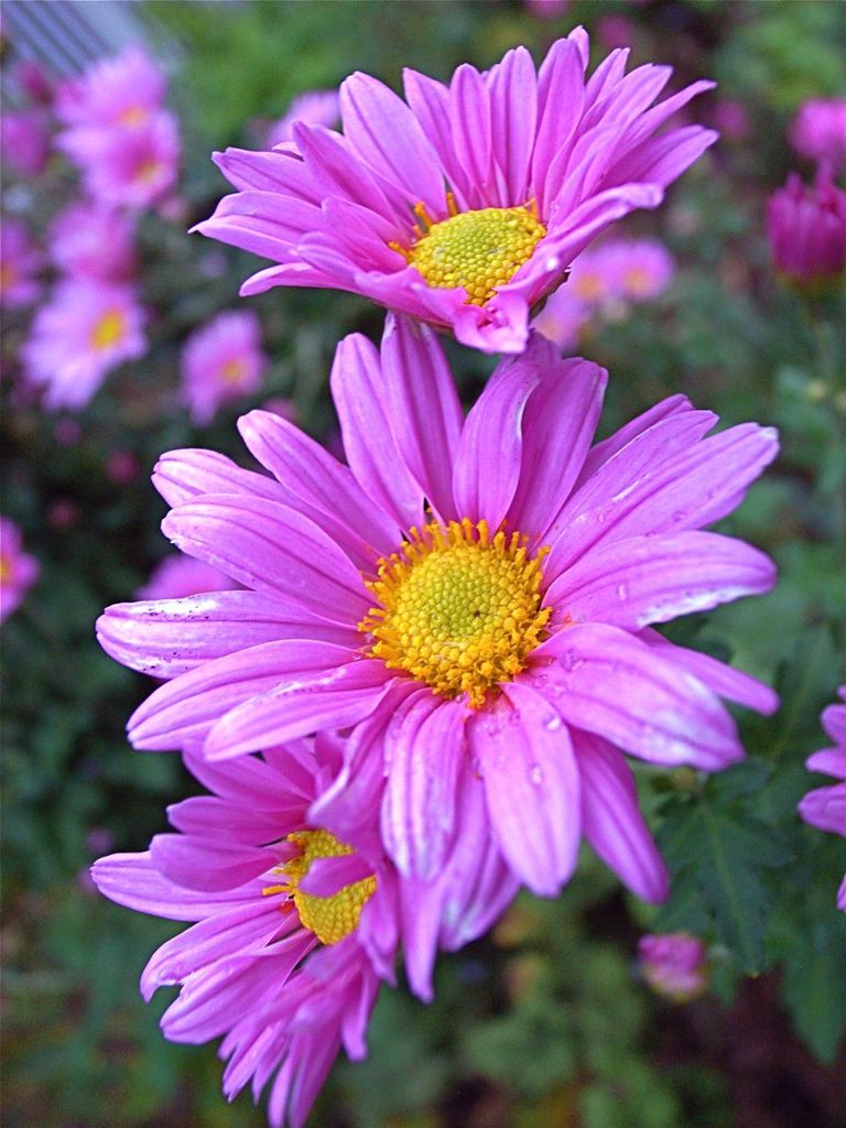 R0011538