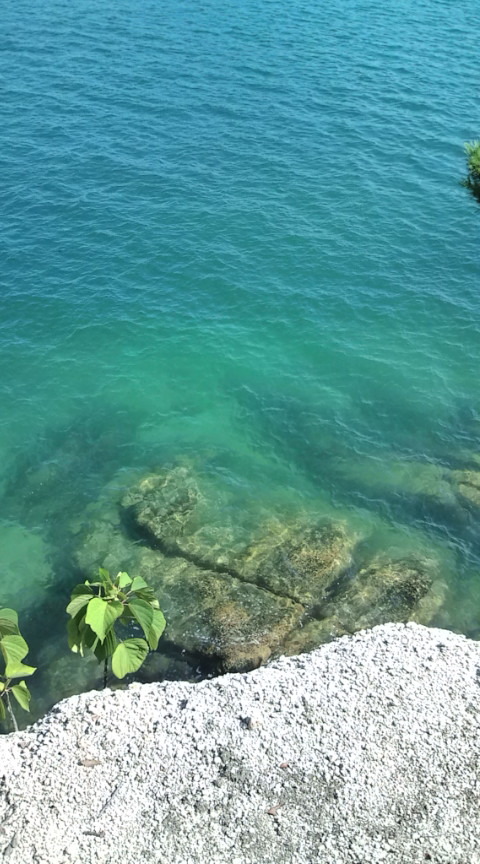 田舎の海・・・