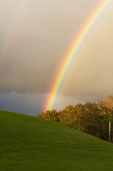 Over the rainbow2