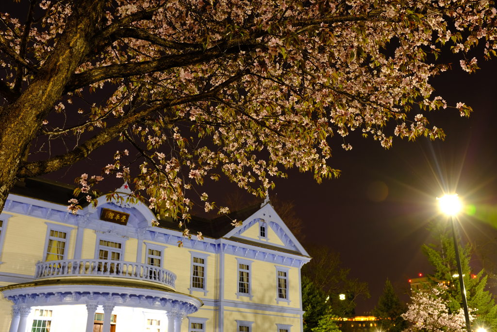 夜桜と豊平館