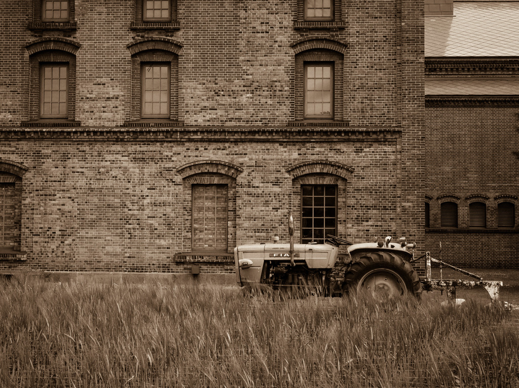 Pioneer