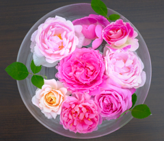 華やかに