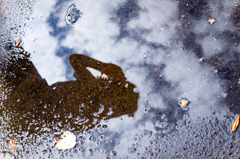 Puddle