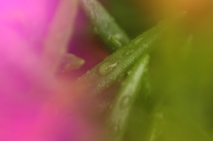 2012-06-21 