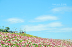 大阪　舞洲ゆり園