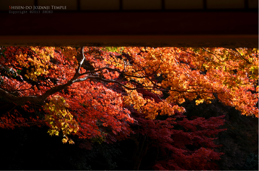AUTUMN COLOR