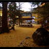 京都「岩戸落葉神社」