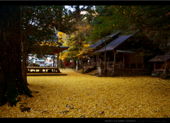 京都「岩戸落葉神社」