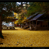 京都「岩戸落葉神社」