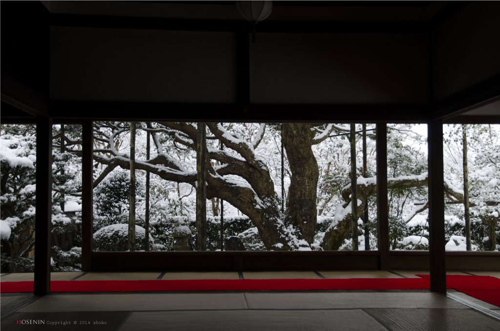 snowscape