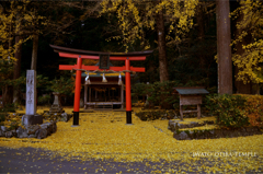 京都「岩戸落葉神社」