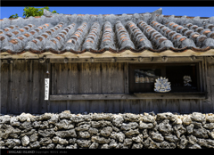 ISHIGAKI BLUE