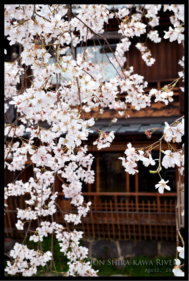 京都「祇園白川」