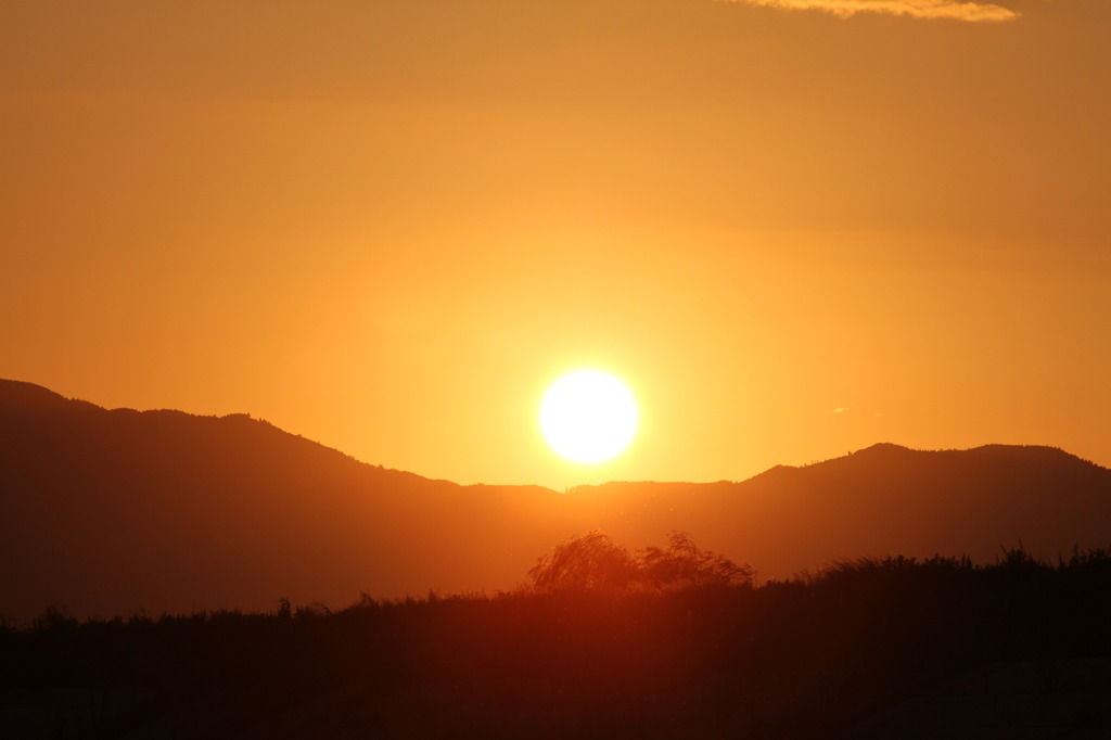 夕日