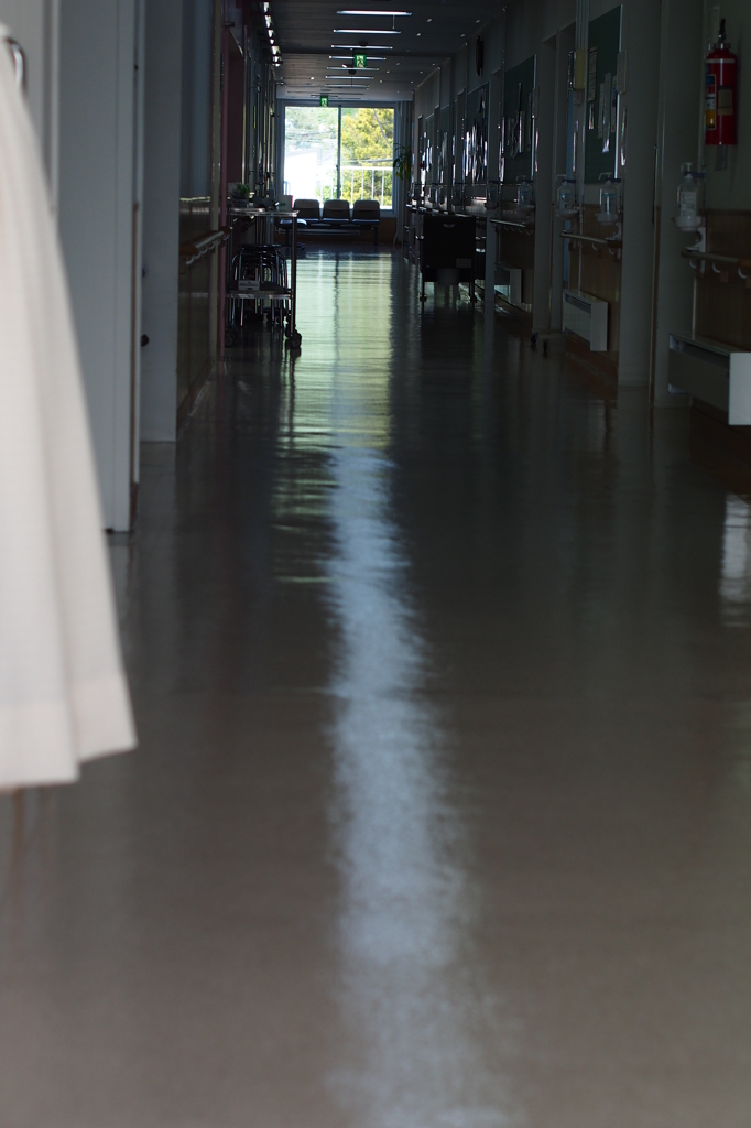 お見舞いの午後