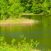 瑞穂の池