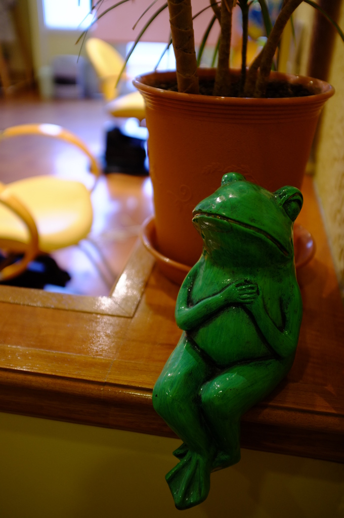 ときめくカエルさん