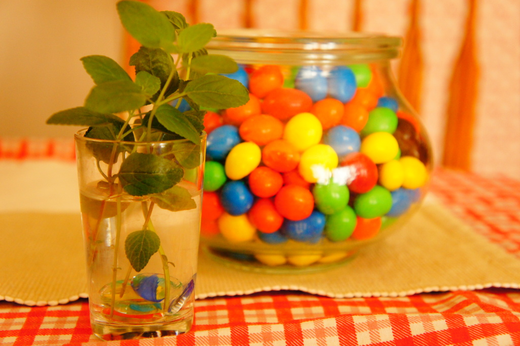チョコボール