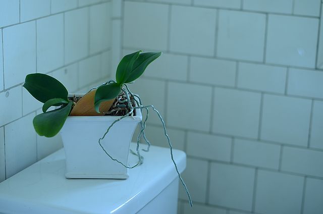 見ないでね