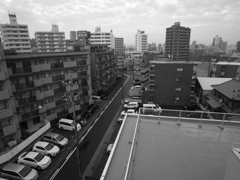 雨上がりの早朝