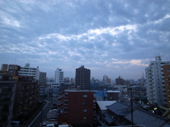 雨上がりの早朝。