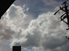 夏の雲