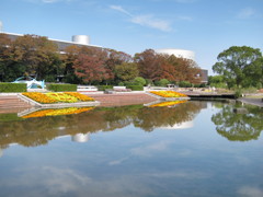 大阪万博公園10月29日