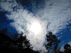 太陽を中心に雲の枝分かれ