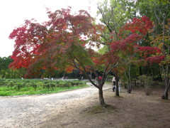 大阪万博公園10月29日