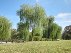 大阪万博公園10月29日