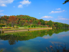 兵庫県立フラワーセンター