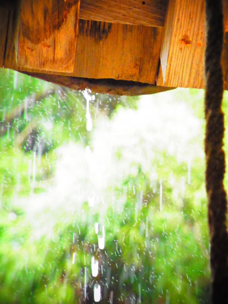 雨と神社とお盆。